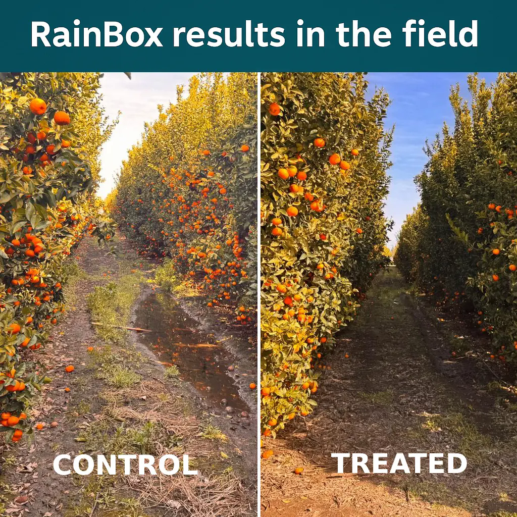 RainBox™ Treated Field Results