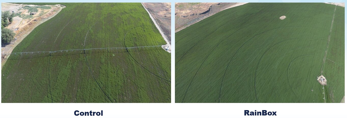 Field trial comparison — Control vs RainBox results